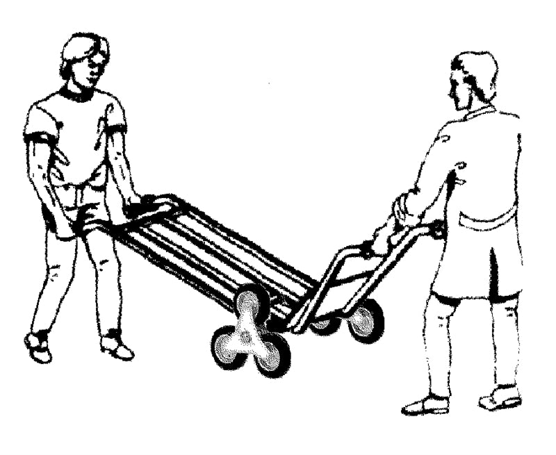 Carmeccanica Carrello a Doppia Impugnatura Ruote Pneumatiche 250 kg ART024A