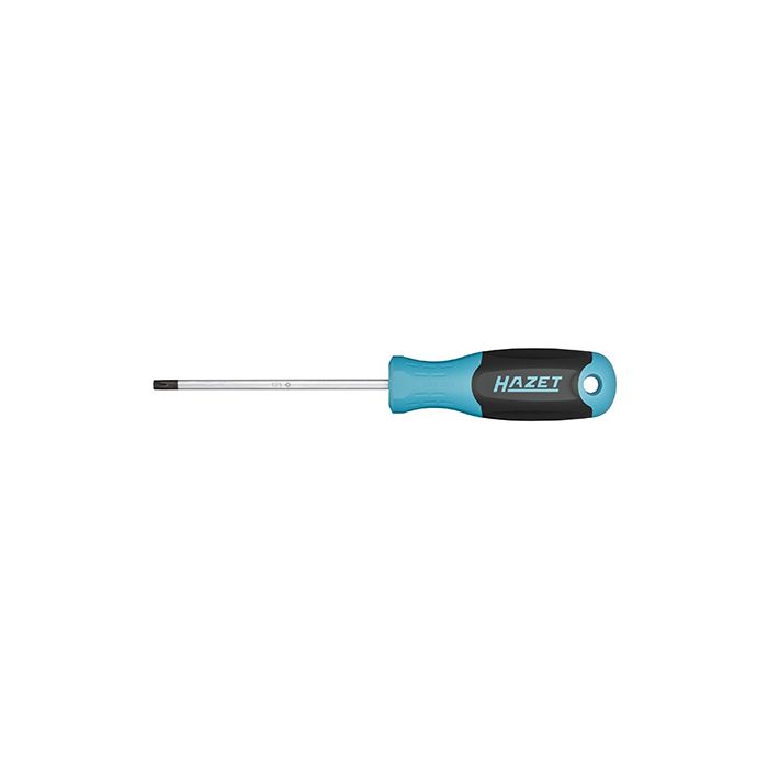 HAZET Giravite Torx Colorcode A 1487 2010, T10 A14872010
